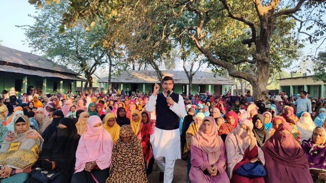 গ্যালারি ছবি