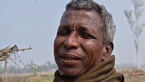 ভিডিও